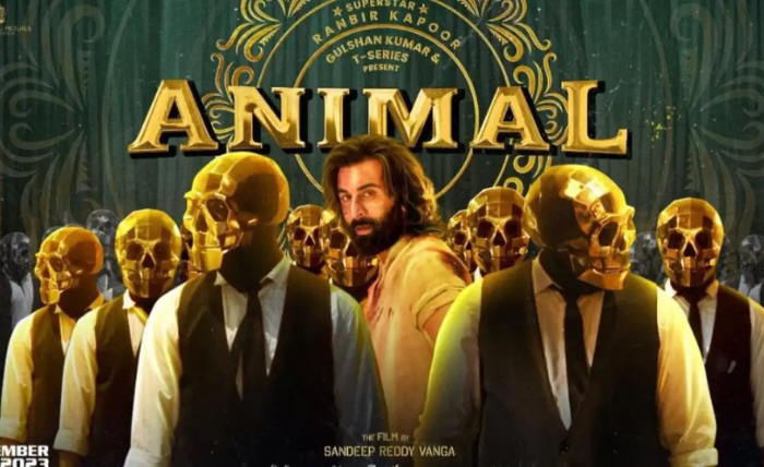 Download Bollyflix Animal Movie from MP4Moviez